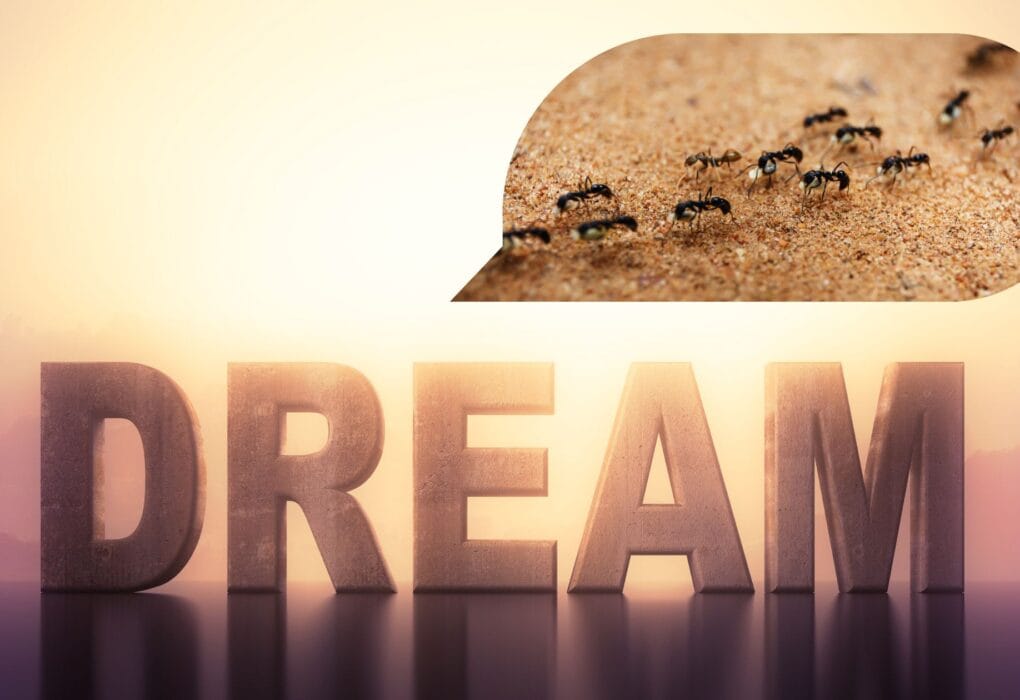 Dream symbolism ants banner