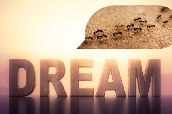 Dream symbolism ants banner