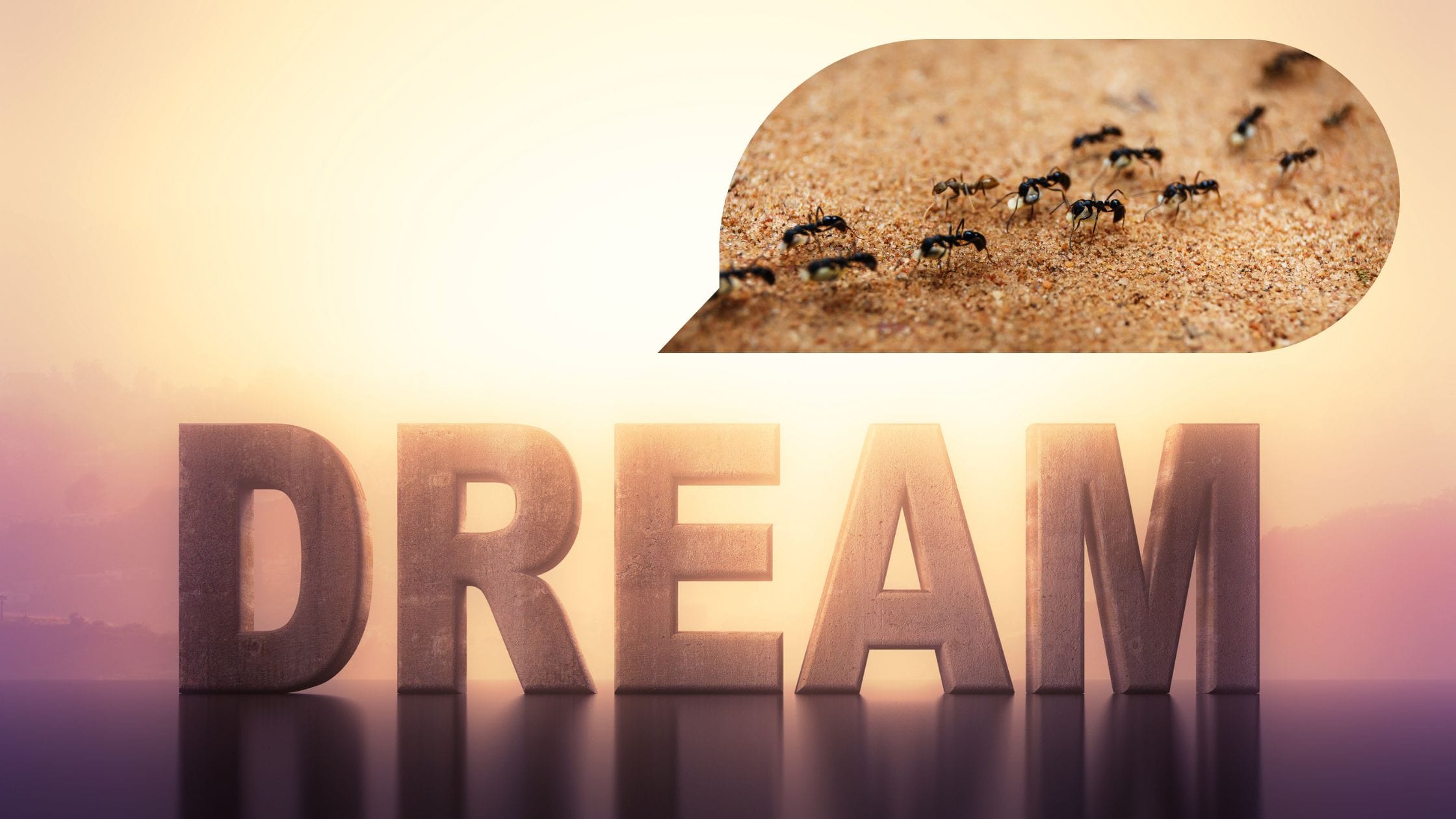Dream symbolism ants banner